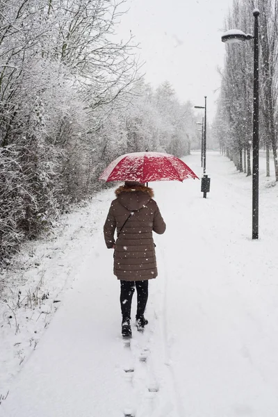 Portret Tyłu Widok Kobiety Spacerującej Czerwonym Parasolem Śnieżny Dzień — Zdjęcie stockowe