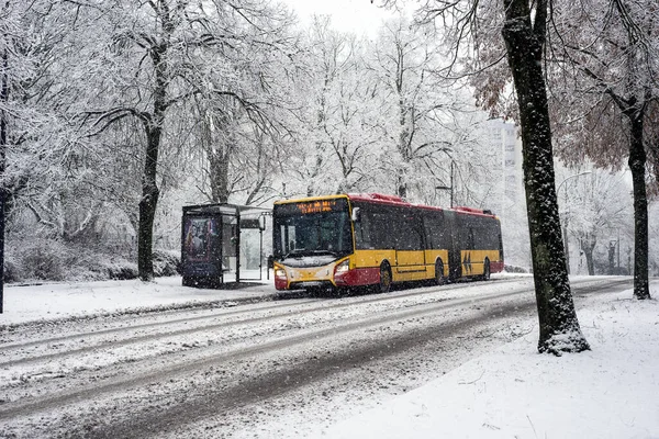 Mulhouse Francja Stycznia 2021 Widok Żółtego Autobusu Publicznego Przez Solea — Zdjęcie stockowe