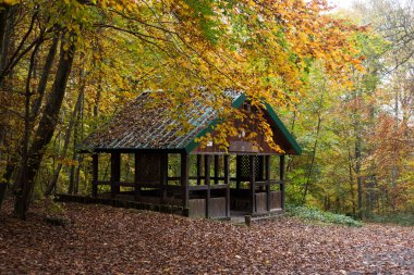 Sonbahar ormanındaki ahşap barınak manzarası