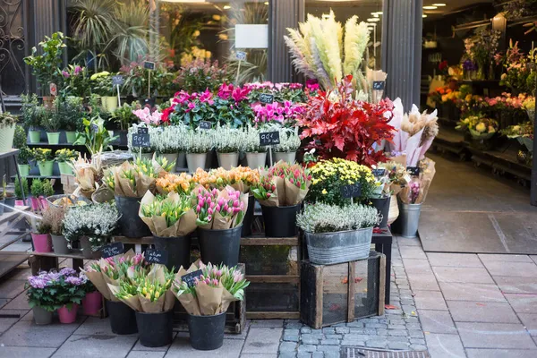 Veduta Mazzi Fiori Colorati Fiorista Strada — Foto Stock