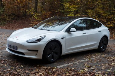 Mulhouse - Fransa - 11 Kasım 2021 - Sınırda park etmiş ünlü elektrikli araba beyaz Tesla 'nın ön görüntüsü 