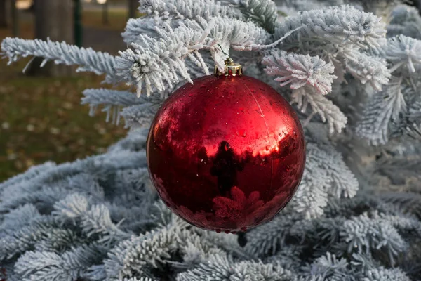 Gros Plan Boule Rouge Dans Arbre Noël Enneigé Dans Rue — Photo