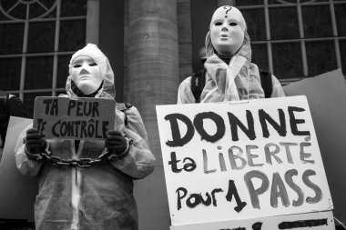 Mulhouse - Fransa - 28 Kasım 2021 - pankartla ve Fransızca metinlerle sağlık kartını protesto eden insanlar: donne ta liberte pour un pass, ingilizce: geçiş için özgürlüğünüzü verin
