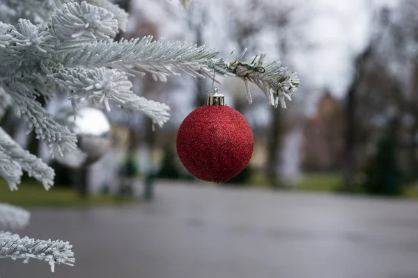 通りで雪に覆われたクリスマス ツリーの赤いボールのクローズ アップ — ストック写真