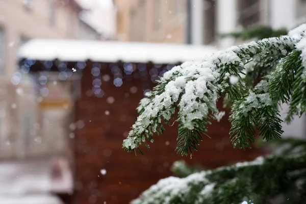 Zbliżenie Gałęzi Choinki Pokrytej Śniegiem Targu Bożonarodzeniowym — Zdjęcie stockowe