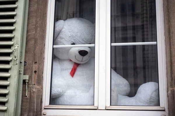 Retrato Oso Peluche Blanco Sentado Detrás Una Ventana Calle —  Fotos de Stock