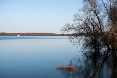 Sınırdaki ağaçların manzarası Michelbach Gölü Alsace - Fransa