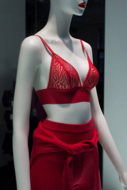 Kırmızı sütyen ve kırmızı tozlukların bir moda mağazasının vitrininde yakın çekimi.