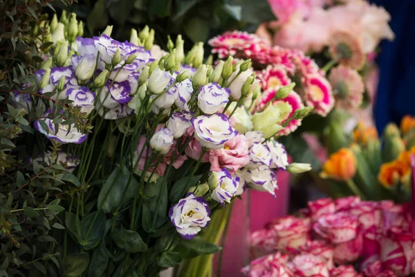 Closeup Purple Pink Roses Bouquet Florist Street — Stock Photo, Image