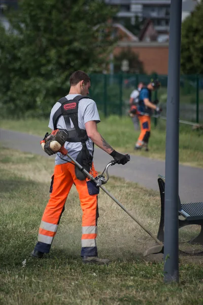 Mulhouse - France - 31 May 2022 - Portrait on back view of municipal gardener working with a brush cutter in a public garden