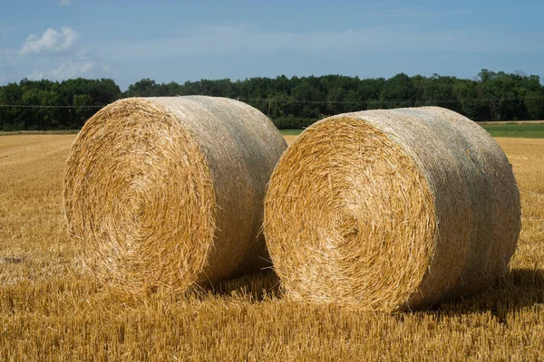 View Hay Bales Wheat Field Harvest — Stockfoto