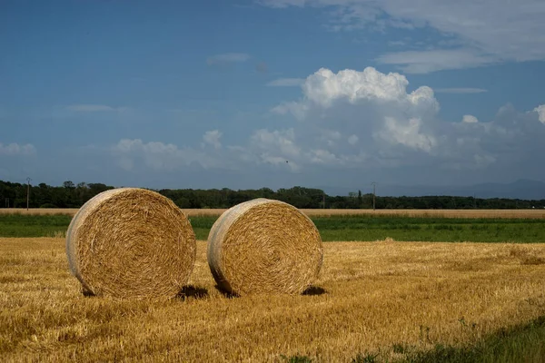 收获后麦田里干草包的景观 — 图库照片