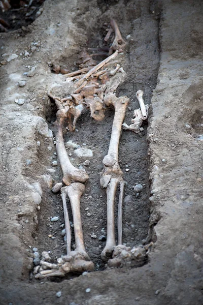 closeup of human skeleton at the archaeologic site