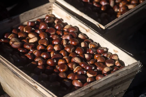 Güneşli bir günde açık havada kestane yığınlarının kapanışı 