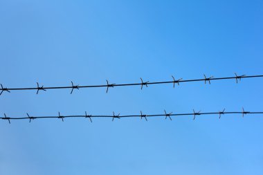 Mavi gökyüzü arka planında dikenli tel
