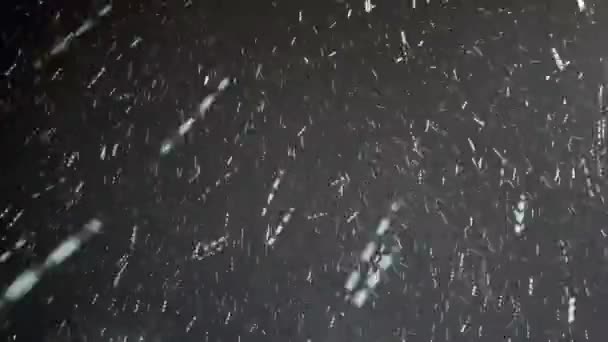Pohled Padající Sníh Oblohy — Stock video