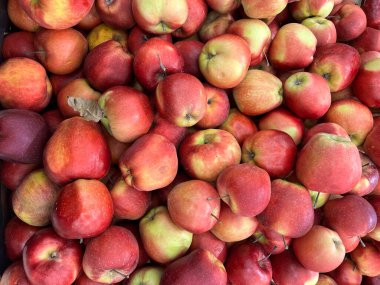 Olgun kırmızı elmaların geçmişi. Elma dokusu. Kırmızı elmalar yakın plan.