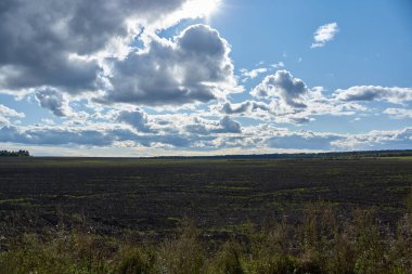 Mantar için ormana yaptığımız geziden bir sahne. Eylül 2021.