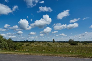 Snezhet Nehri kıyısında bir yürüyüş. Nehrin taşkın ovasında sel çayırları.