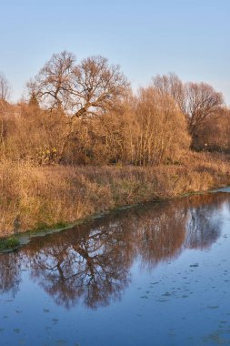 Snezhet Nehri kıyısında bir yürüyüş. Sonbaharın sonu.