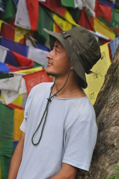 Молодой Человек Смотрит Сторону Опираясь Дерево Тибетскими Буддийскими Молитвенными Флагами — стоковое фото