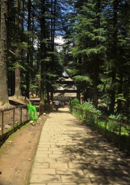 Manali, Himachal Pradesh, Hindistan - 07 16 2022: Sedir ağaçları arasında Hidimba Devi Tapınağı 'nın güzel manzarası 