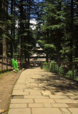 Manali, Himachal Pradesh, Hindistan - 07 16 2022: Sedir ağaçları arasında Hidimba Devi Tapınağı 'nın güzel manzarası 