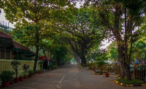 Mumbai Ινδια Νοεμβρίου 2021 Μονοπάτι Ανώτερης Γειτονιάς Στη Βομβάη Καλυμμένο — Φωτογραφία Αρχείου
