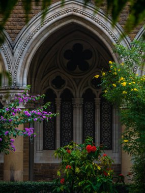 MUMBAI, INDIA - 26 Kasım 2021: Mumbai Üniversitesi 'nin güzel Victoria mimarisi, gayri resmi olarak Mumbai Üniversitesi (MU)
