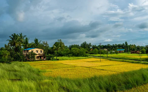 Geleneksel Hint Köyü Evi Yeşil Çimenler Güzel Bulutlu Gökyüzü Ile — Stok fotoğraf