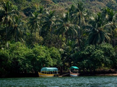 Devbagh Sahili, Sindhudurga 'daki turist tekneleri dünya çapında en sevilen 30 turizm beldesinde yer alıyor.