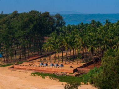 Hindistan, Malvan 'da deniz kıyısında kamp yapmak için hindistan cevizi ağaçlarıyla çevrili çadırlar.