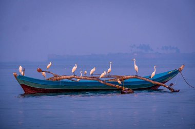 Bir grup balıkçı balıkçı teknesinde Tarkarli, Malvan 'da Arap denizinde oturuyor.