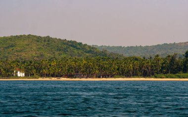 Sindhudurg bölgesinde hindistan cevizi ağaçları olan güzel Hint okyanusu manzarası.