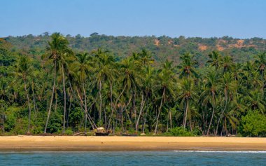 Hindistancevizi ağaçları ve Sindhudurg bölgesinde balıkçı tekneleri olan güzel Hint okyanusu manzarası
