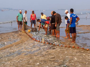Malvan, Hindistan - 20 Aralık 2021: Deniz kıyısında yeni yakalanmış balık ve balık ağlarıyla Hintli balıkçılar.