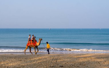 Malvan, INDIA - 19 Aralık 2021: Tanımlanamayan Hintli aile Tarkarli plajında deve gezisine çıktı.