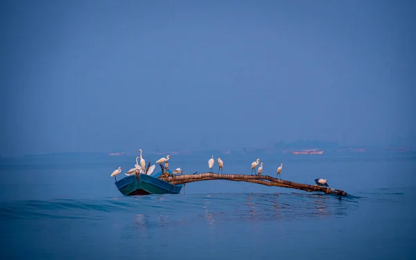 Bir grup balıkçı balıkçı teknesinde Tarkarli, Malvan 'da Arap denizinde oturuyor.