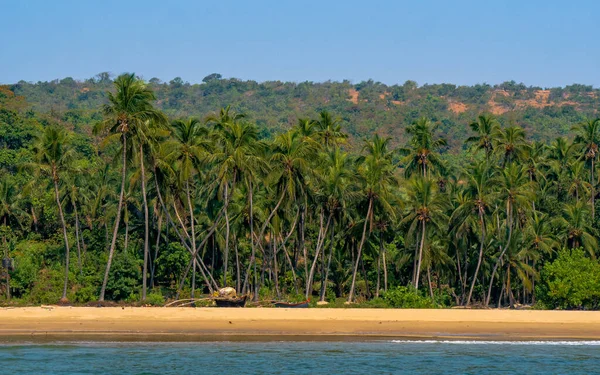 Hindistancevizi ağaçları ve Sindhudurg bölgesinde balıkçı tekneleri olan güzel Hint okyanusu manzarası