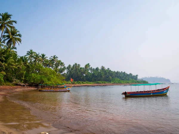 Sindhudurg Índia Dezembro 2021 Bela Paisagem Mar Arábico Com Coqueiros — Fotografia de Stock