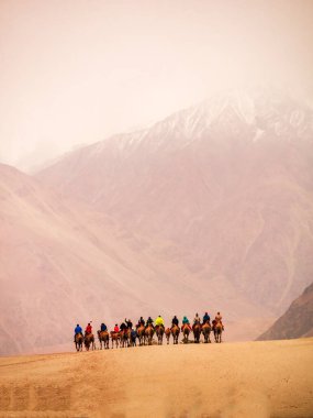 Hunder, Hindistan 'ın Leh ilçesine bağlı Kum tepeleri ve Bactrian develeri ile ünlü bir köydür. Turistler çifte hörgüçlü develere binmeyi severler..