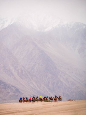 Hunder, Hindistan 'ın Leh ilçesine bağlı Kum tepeleri ve Bactrian develeri ile ünlü bir köydür. Turistler çifte hörgüçlü develere binmeyi severler..