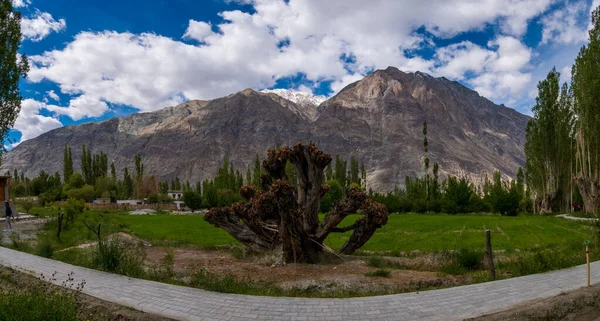 Ladakh 'ın güzel manzarası dağ sırasını ve gökyüzünü kaplıyor, Hindistan' ın en yüksek platosunu. Ladakh şehri manzarası. Ladakh 'ın panoramik görünümü.