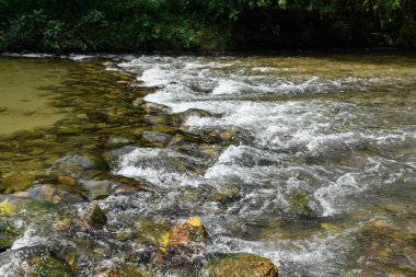 Nehirdeki kayalara su sıçrıyor.