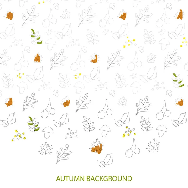 Herbstblätter Isoliert Auf Weißem Hintergrund Vektorillustration — Stockvektor