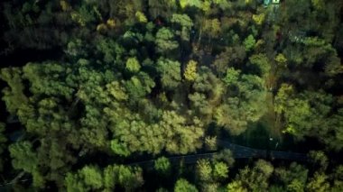 Büyük bir gölü ve yüzen teknesi olan sonbahar şehir parkı.