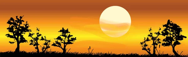 Coucher Soleil Rouge Vif Jaune Paysage Panoramique Illustration — Photo