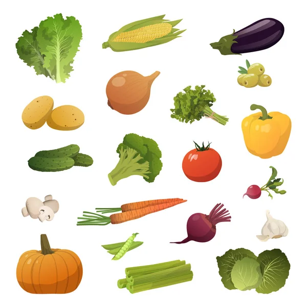 Set Pieces Different Vegetables White Background Vector Illustration — Vetor de Stock