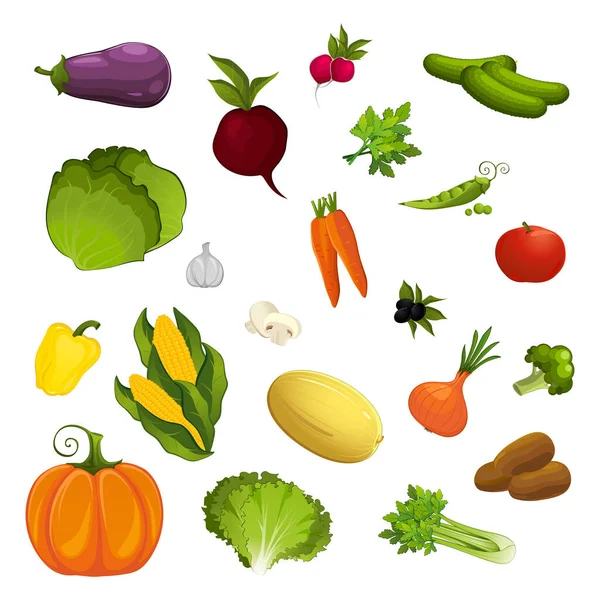 Набір Шматочків Різних Овочів Білому Тлі Ілюстрація — стоковий вектор