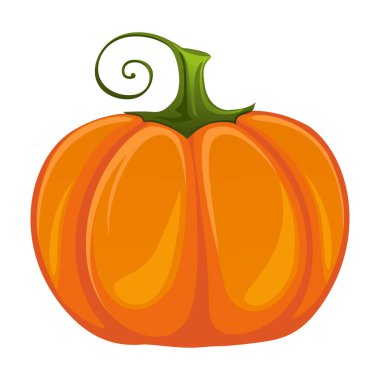 Beyaz arka planda izole edilmiş gerçekçi olgun balkabağı - Vektör illüstrasyonu